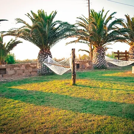 Sunset *