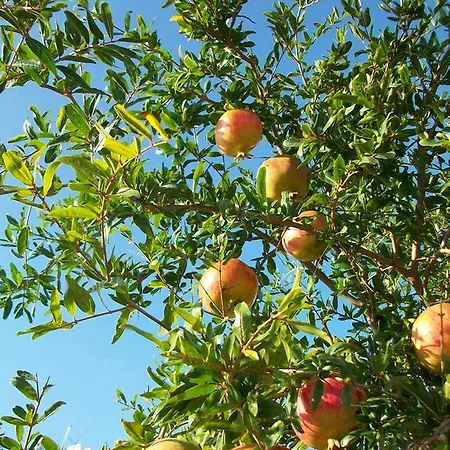 Sunset 3* Пунда