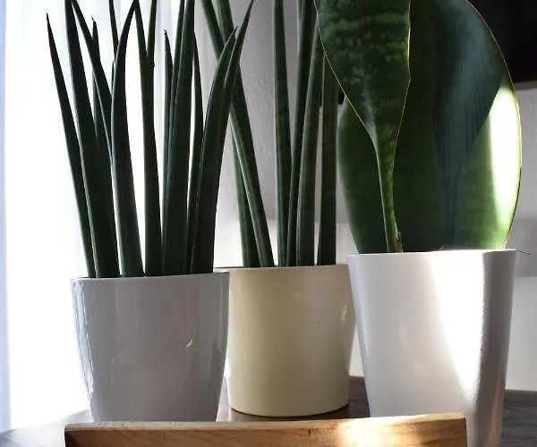 Sunset Aparthotel Pounda